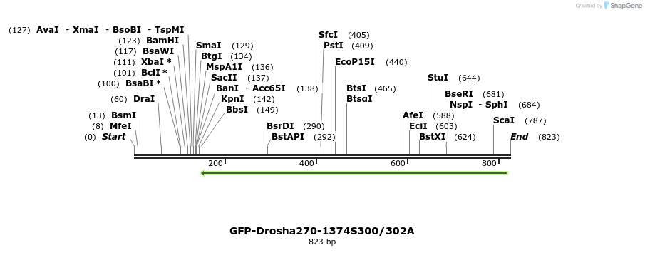 107207_map