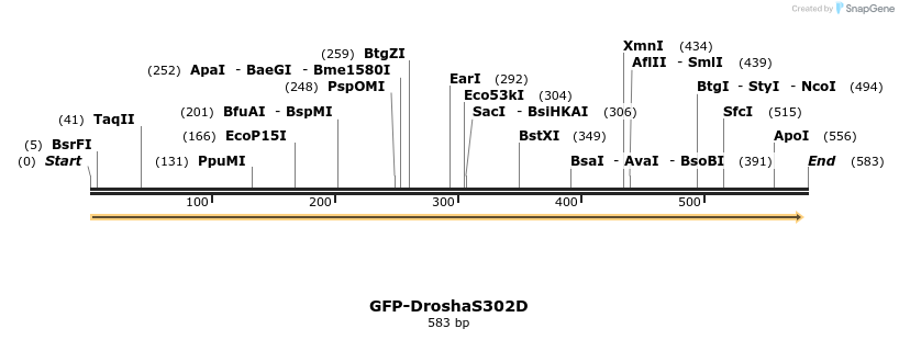107208_map