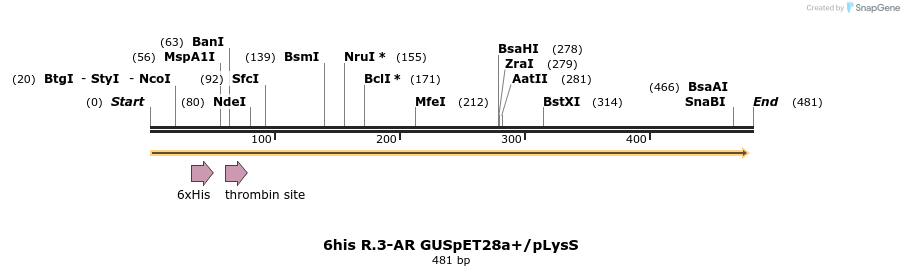 107211_map