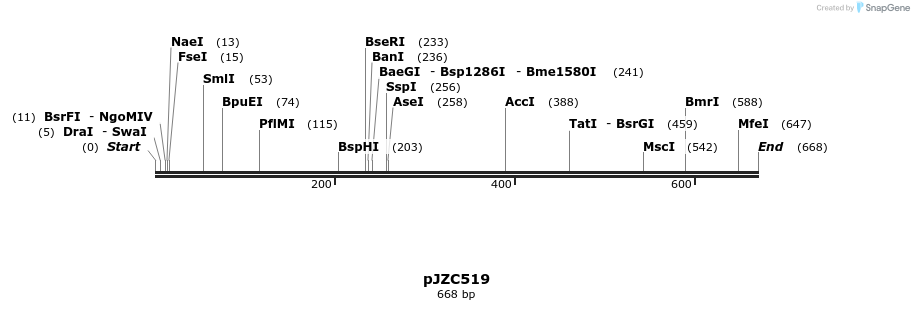 107217_map