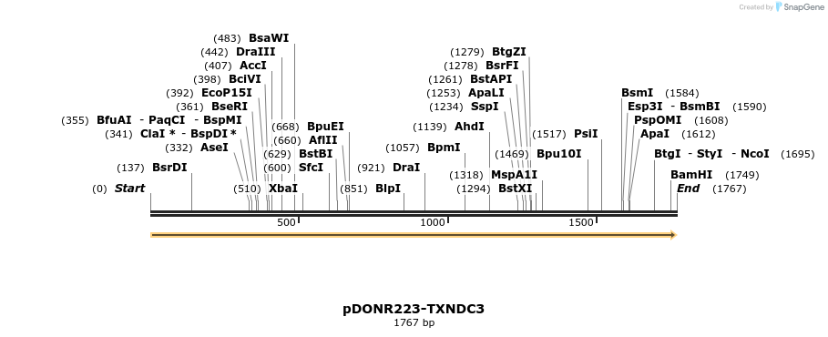 10722_map