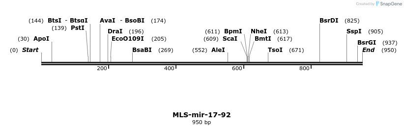 107222_map