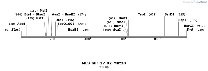 107228_map