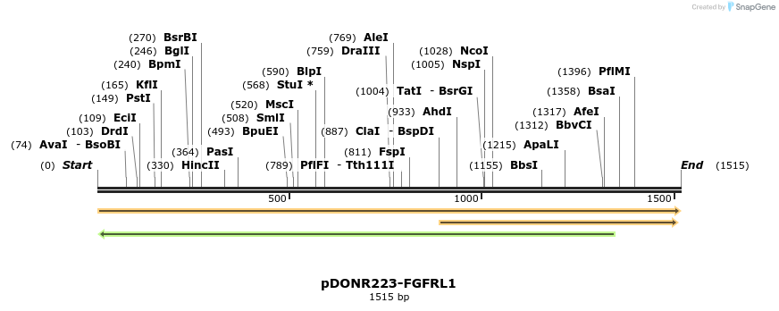 10724_map