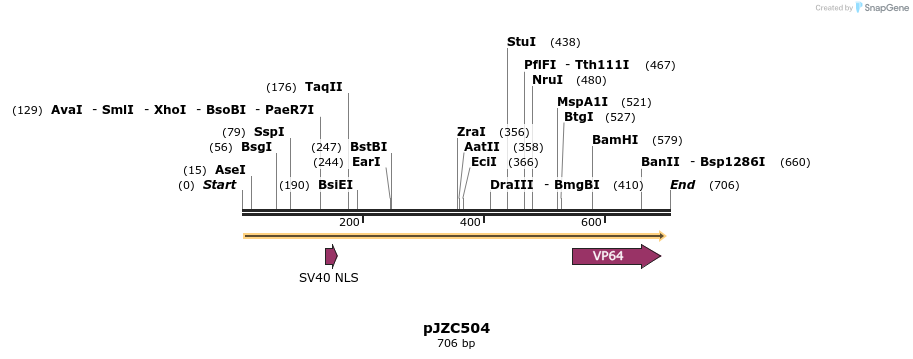 107243_map