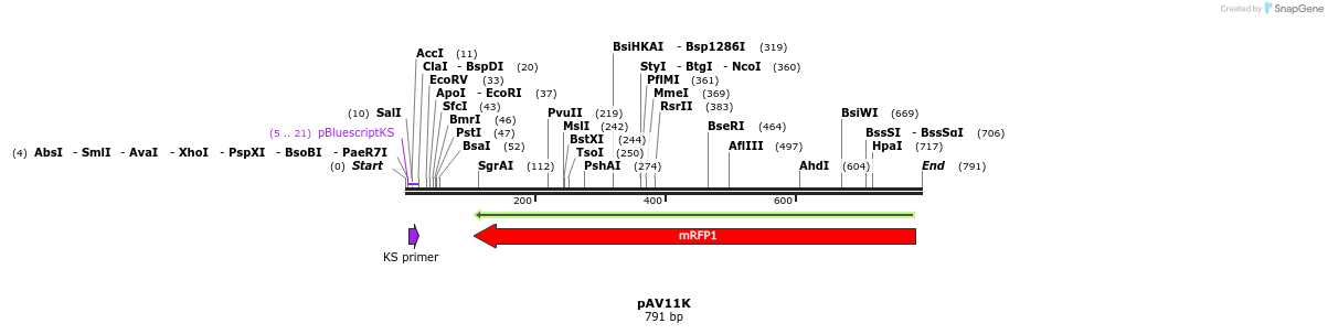 107246_map