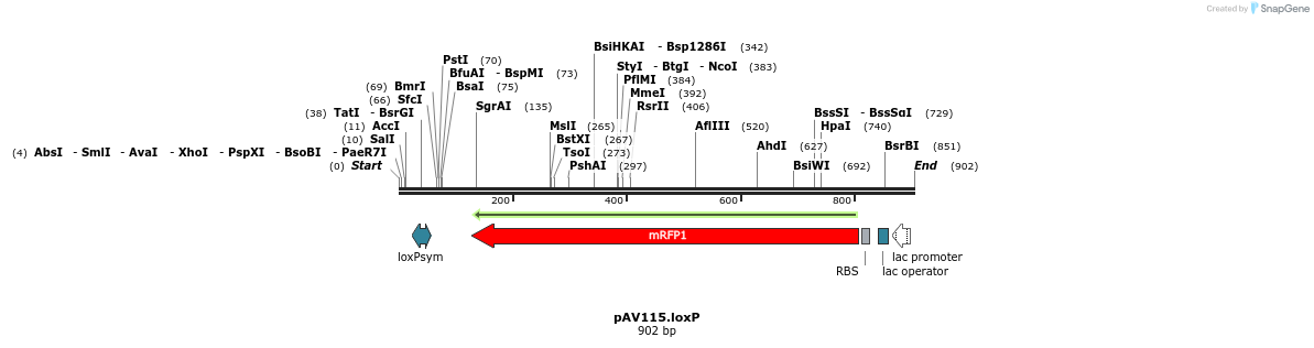 107248_map