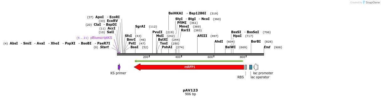 107251_map