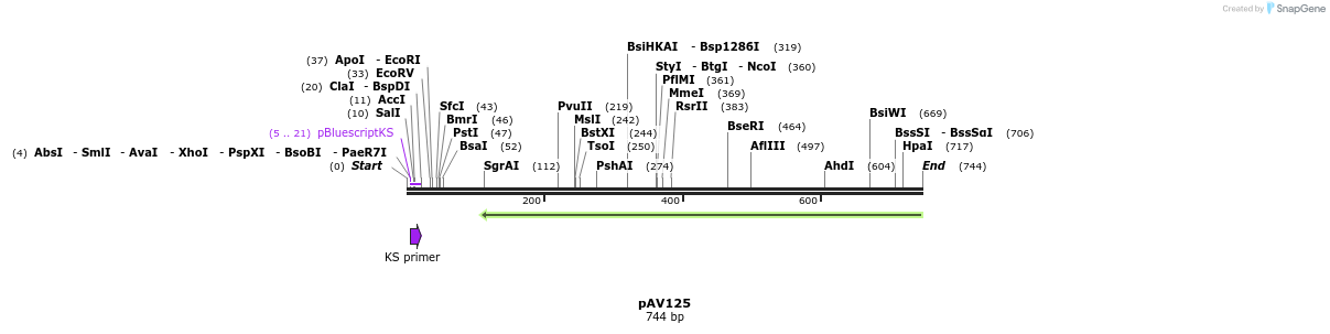 107253_map