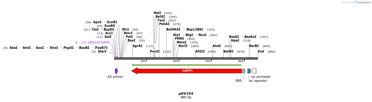 107257_map