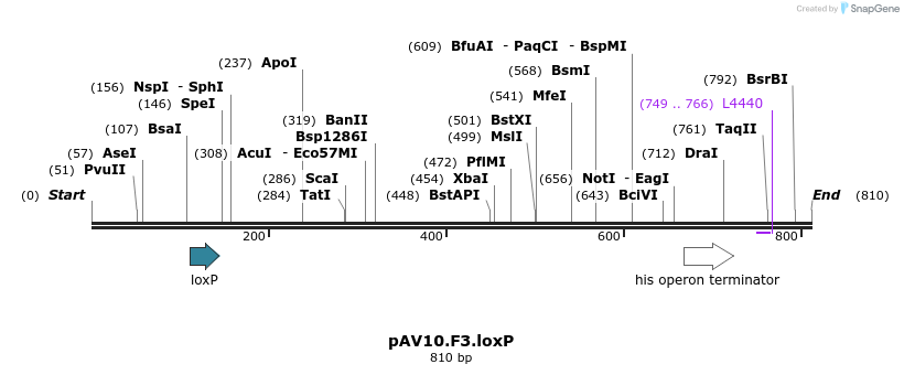 107263_map