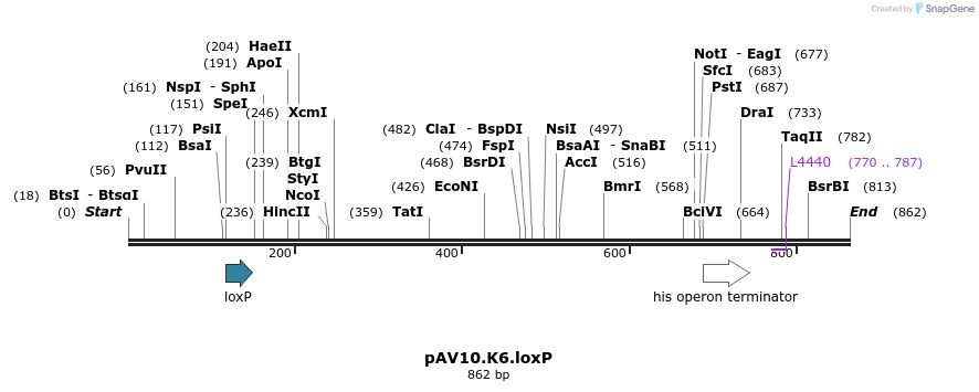 107268_map