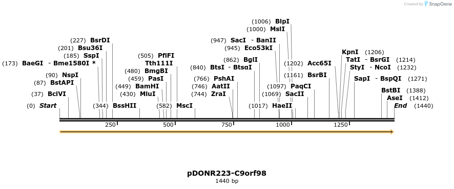 10727_map