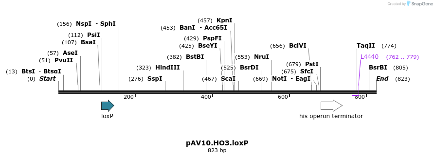 107271_map