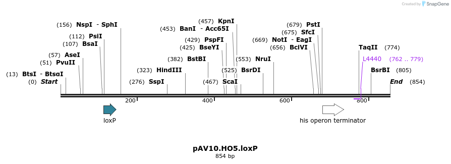 107273_map