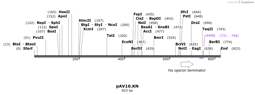 107278_map