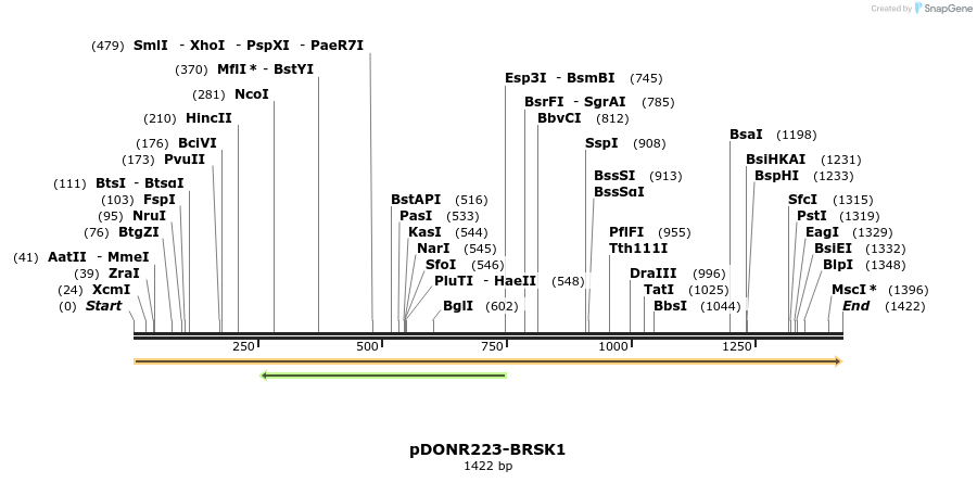10728_map