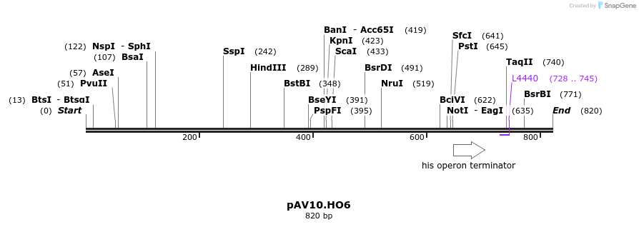 107283_map