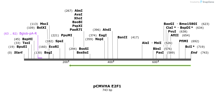 107287_map