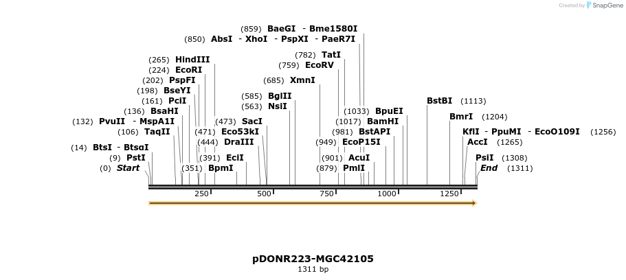 10729_map