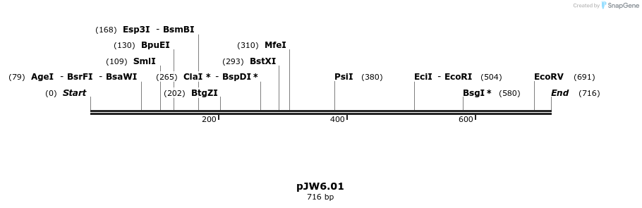 107290_map