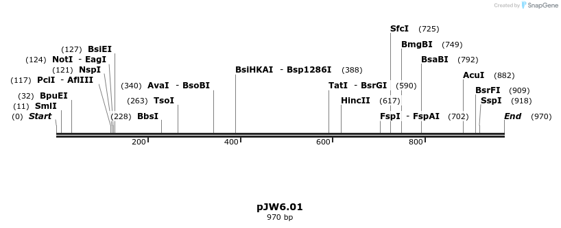 107291_map