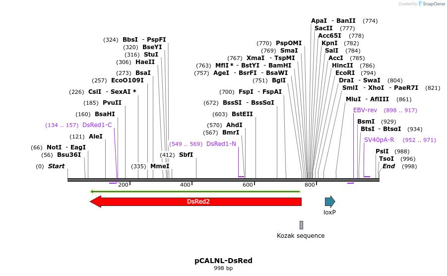 107300_map