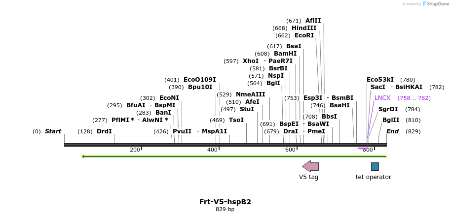 107305_map