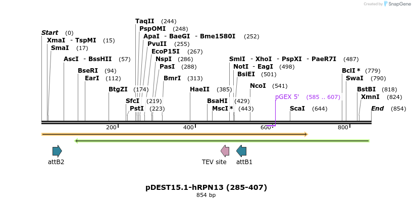 107308_map
