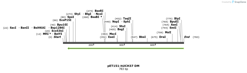 107310_map