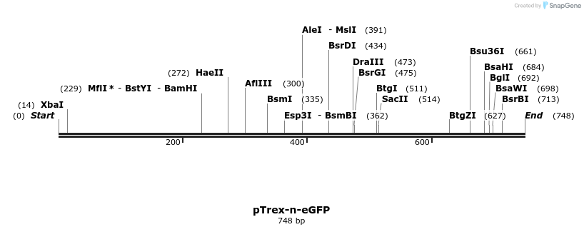 107311_map