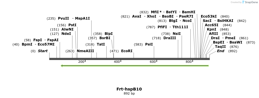 107312_map