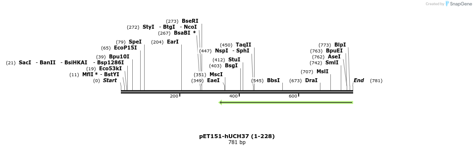 107313_map