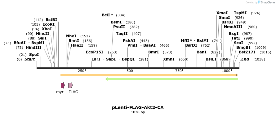 107321_map