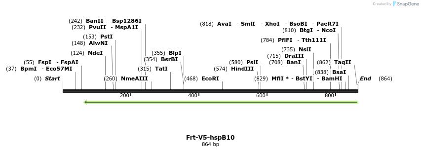 107323_map