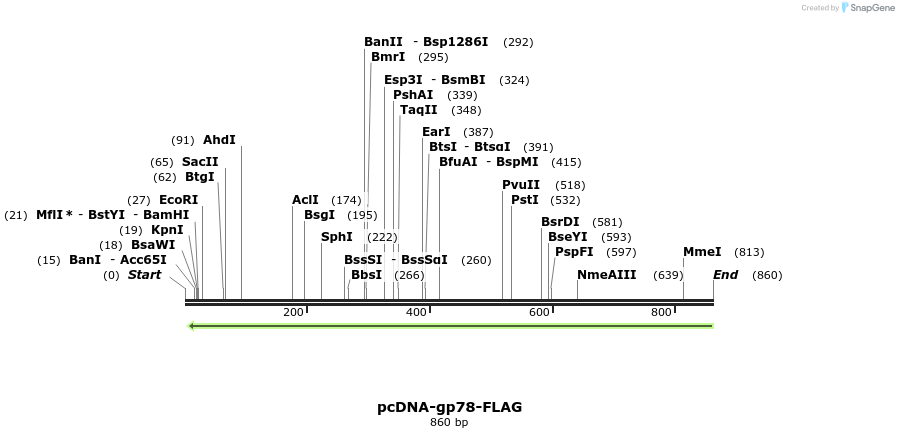 107324_map