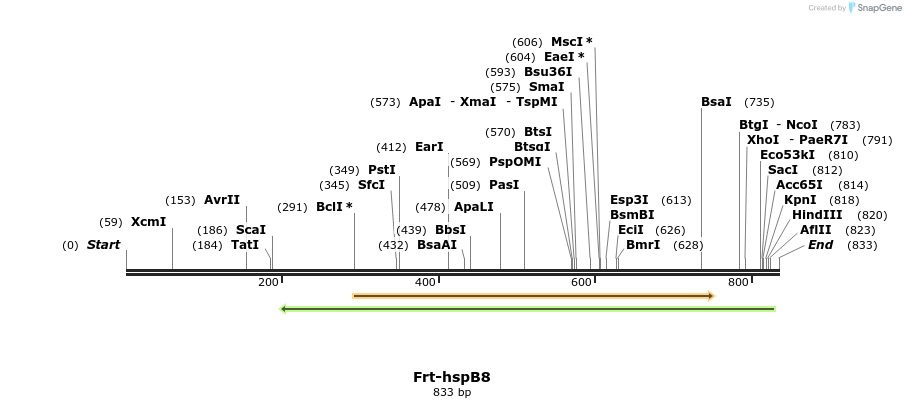 107331_map