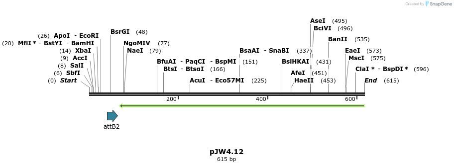 107333_map