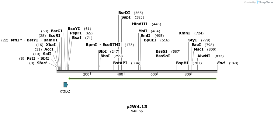107336_map