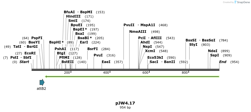 107341_map
