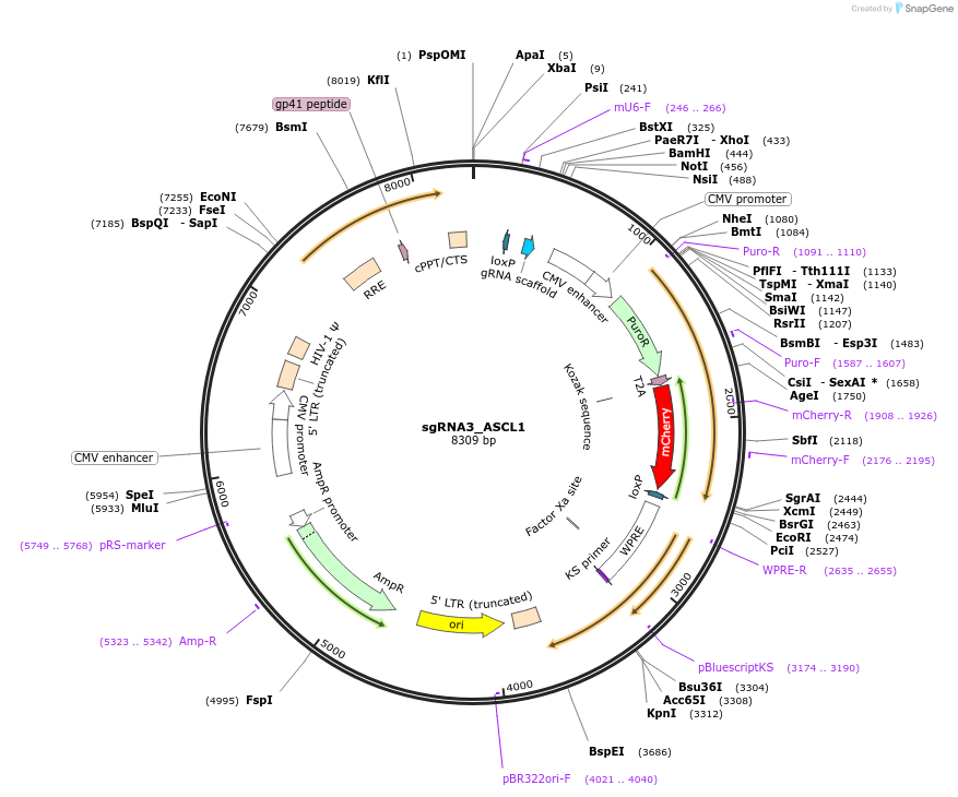 107342_map