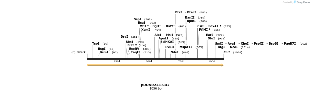 10735_map