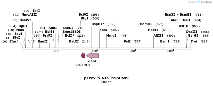 107353_map