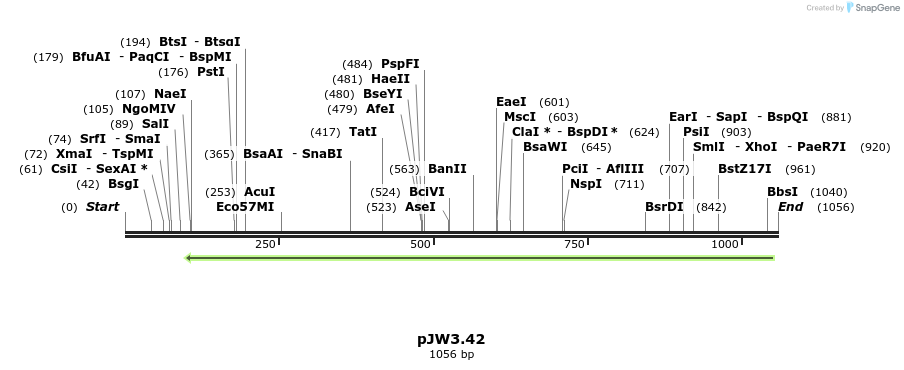 107354_map