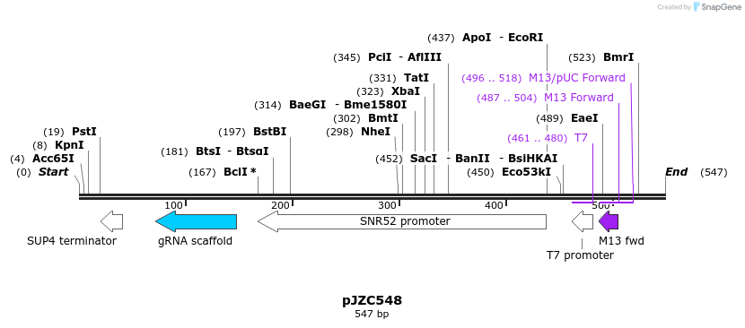 107355_map