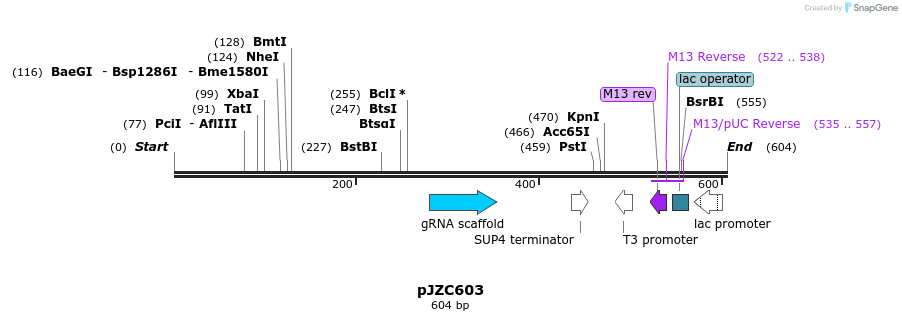 107357_map