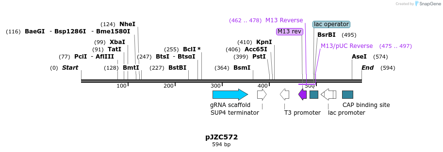 107359_map