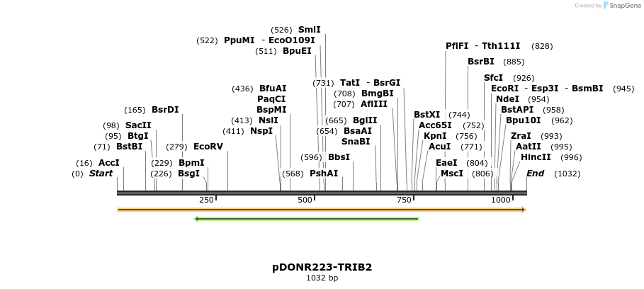 10736_map