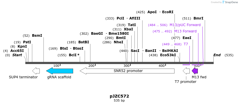 107362_map