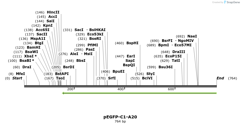 107363_map